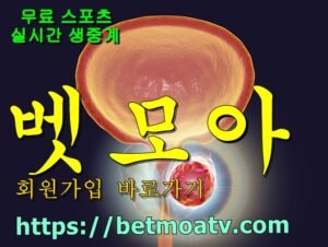 벳모아, 무료 스포츠 중계, 고화질 스포츠 중계, 실시간 스포츠 중계, 꽁머니