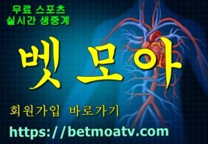 벳모아, 무료 스포츠 중계, 고화질 스포츠 중계, 실시간 스포츠 중계, 꽁머니