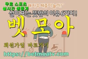 벳모아, 무료 스포츠 중계, 고화질 스포츠 중계, 실시간 스포츠 중계, 꽁머니